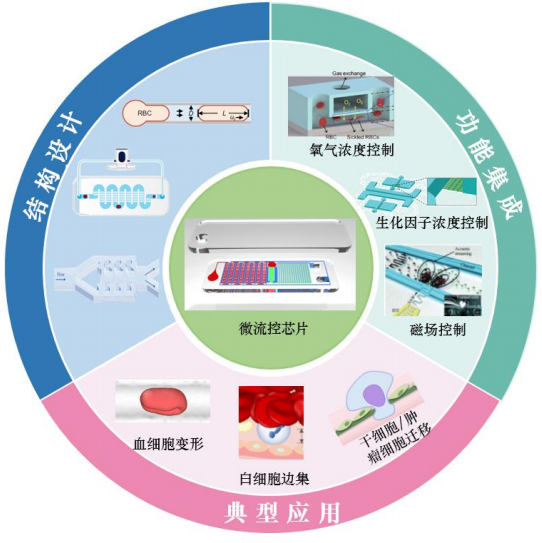 1710126934856535.png 圖片1.png
